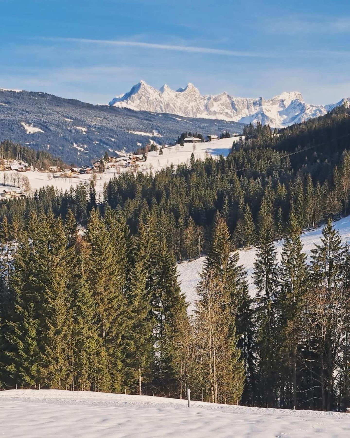 Luxus-Apartment-Vorderreit Gut Altenmarkt im Pongau Exteriör bild